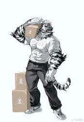 Rule 34 | 1boy, alternate costume, animal ears, arknights, bara, box, cardboard box, carrying over shoulder, contrapposto, expressionless, facial hair, full body, furry, furry male, goatee, highres, huge pectorals, hujusheng, large hands, mountain (arknights), muscular, muscular male, nike (company), scar, scar across eye, short hair, sleeves rolled up, solo, standing, sweaty clothes, thick eyebrows, tiger boy, tiger ears, white fur, white hair