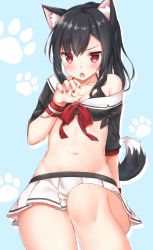 Rule 34 | 1girl, :o, animal ears, arm behind back, azur lane, bare shoulders, bikini, bikini top only, black bikini, black hair, black shirt, blue background, blush, breasts, claw pose, cleavage, crop top, highres, kinakon, knee up, long hair, long sleeves, looking at viewer, medium breasts, miniskirt, nail polish, navel, off shoulder, open mouth, paw print, paw print background, pleated skirt, red eyes, red nails, red ribbon, ribbon, shigure (azur lane), shiny skin, shirt, skirt, solo, stomach, swimsuit, tail, thighs, tied shirt, v-shaped eyebrows, white skirt, wolf ears, wolf tail, wristband