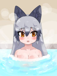 Rule 34 | 1girl, animal ears, aramaru, bare shoulders, bathing, black hair, breasts, brown eyes, cleavage, commentary, extra ears, fox ears, gradient hair, grey hair, highres, kemono friends, long hair, looking at viewer, medium breasts, multicolored hair, nude, open mouth, partially submerged, silver fox (kemono friends), smile, solo, steam, water