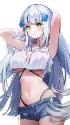 Rule 34 | 1girl, armpits, arms behind head, arms up, bare arms, bare shoulders, blue shorts, breasts, cowboy shot, crop top, crop top overhang, cross hair ornament, cutoffs, denim, denim shorts, drawstring, facial mark, girls&#039; frontline, green eyes, hair ornament, highleg, highres, hk416 (girls&#039; frontline), hyoin, large breasts, long hair, looking at viewer, midriff, navel, shirt, short shorts, shorts, simple background, sleeveless, sleeveless shirt, smile, solo, stomach, torn clothes, torn shorts, underboob, very long hair, white background, white hair, white shirt