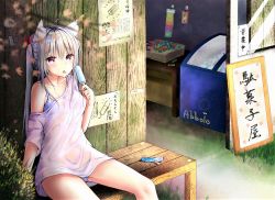 Rule 34 | 1girl, ahoge, animal ears, bench, blue bra, blush, bra, breasts, cat ears, cleavage, food, highres, kayakooooo, long hair, looking at viewer, medium breasts, original, pink eyes, popsicle, shirt, silver hair, sitting, solo, tongue, tongue out, underwear, wet, wet clothes, wet shirt, wrapper