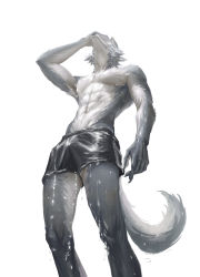 Rule 34 | 1boy, abs, absurdres, arm at side, beastars, black male underwear, boxers, bulge, erection, erection under clothes, fingernails, from below, furry, furry male, hand on own face, hand up, highres, legoshi, male focus, male underwear, navel, sharp fingernails, simple background, solo, standing, topless male, underwear, underwear only, water, wet, white background, wolf boy, zzhenliu