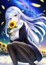 Rule 34 | 1girl, arm under breasts, blue eyes, blush, coat, covering own mouth, field, flower, flower field, galaxy, highres, holding, holding flower, long hair, long sleeves, looking at viewer, night, night sky, original, outdoors, pantyhose, petals, sky, solo, squatting, star (sky), starry sky, sunflower, sunflower field, thighband pantyhose, very long hair, wabi chazuke, white hair