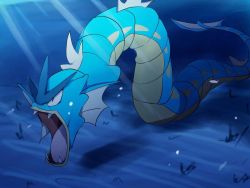 Rule 34 | artist request, creatures (company), dragon, fang, fangs, game freak, gen 1 pokemon, gradient background, gyarados, looking to the side, nintendo, no humans, open mouth, pokemon, pokemon (creature), red eyes, sharp teeth, solo, teeth, underwater, water, whiskers