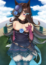 Rule 34 | 1girl, animal ears, bad id, bad pixiv id, bare shoulders, black collar, black thighhighs, blue dress, blue flower, blue hat, blue rose, blue sky, blush, brown hair, cloud, collar, commentary request, cowboy shot, day, dress, flower, fur collar, hair over one eye, hand up, hat, hat flower, highres, horse ears, long hair, long sleeves, looking at viewer, mini hat, off-shoulder dress, off shoulder, outdoors, pantyhose, purple eyes, rice shower (umamusume), rose, short dress, sky, smile, solo, standing, thighhighs, thighhighs over pantyhose, tsukareme, umamusume, very long hair, white pantyhose