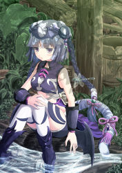 Rule 34 | 1girl, armor, bat wings, black hair, bracer, braid, bug, circlet, double bun, dragonfly, greaves, haku (p&amp;d), insect, multicolored hair, purple eyes, puzzle &amp; dragons, shorts, sitting, solo, tail, tiger tail, water, white hair, windfeathers, wings