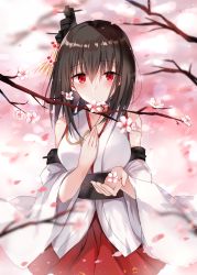 Rule 34 | 1girl, bare shoulders, black hair, blurry, blurry background, blush, branch, breasts, cherry blossoms, commentary request, covered mouth, depth of field, detached sleeves, flower, hair between eyes, highres, japanese clothes, kantai collection, kimono, kinona, long hair, long sleeves, looking at viewer, medium breasts, obi, petals, pink flower, pleated skirt, red eyes, red skirt, sash, sidelocks, skirt, sleeveless, sleeveless kimono, solo, white kimono, white sleeves, wide sleeves, yamashiro (kancolle)