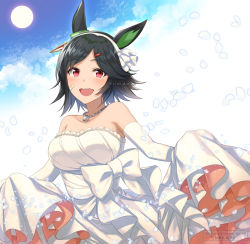Rule 34 | alternate costume, animal ears, bandaid, bandaid on face, black hair, breasts, chikabo m, collarbone, commentary request, dress, hair ornament, horse ears, large breasts, looking at viewer, moon, open mouth, petals, red eyes, short hair, sky, translation request, umamusume, wedding dress, winning ticket (umamusume)