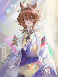Rule 34 | 1girl, agnes tachyon (umamusume), ahoge, animal ears, artist name, black necktie, black shirt, bow, bowtie, breasts, brown hair, collared shirt, curtains, double exposure, earrings, hair between eyes, horse ears, indoors, jewelry, lab coat, long sleeves, necktie, orange eyes, parted lips, pen, purple shirt, purple skirt, red eyes, shirt, short hair, single earring, skirt, small breasts, solo, straight-on, sunlight, sweater, umamusume, upper body, welchino, yellow sweater