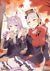 Rule 34 | 2girls, absurdres, animal ears, arm support, autumn, autumn leaves, bench, black coat, blunt bangs, blush, breasts, bright pupils, coat, ear covers, falling leaves, food, foot out of frame, gloves, unworn gloves, gold ship (umamusume), grey hair, grin, hands up, highres, horse ears, horse tail, large breasts, leaf, looking at another, maple leaf, mejiro mcqueen (umamusume), multiple girls, open mouth, petticoat, pink eyes, pleated skirt, purple eyes, purple hair, red gloves, red scarf, scarf, sitting, skirt, smile, steam, sweet potato, tail, teeth, thighhighs, tree, umamusume, usukawa (uskw sr), v-shaped eyebrows, white pupils, white thighhighs
