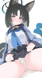 Rule 34 | 1girl, animal ear fluff, animal ears, black eyes, black hair, black pubic hair, black sailor collar, black skirt, blue archive, blue halo, blue neckerchief, blush, cat ears, cat tail, closed mouth, extra ears, halo, haori, highres, japanese clothes, kikyou (blue archive), looking at viewer, mikozin, multiple tails, neckerchief, panties, pleated skirt, sailor collar, school uniform, serafuku, short hair, simple background, skirt, solo, tail, two tails, underwear, white background, white panties
