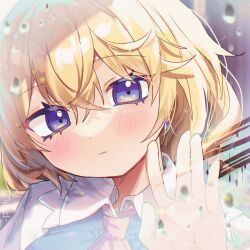 Rule 34 | 1girl, against glass, alice margatroid, blonde hair, blue dress, blue eyes, blush, capelet, closed mouth, dress, hair between eyes, haruwaka 064, highres, portrait, rain, short hair, signature, solo, touhou, water drop, white capelet, wiping