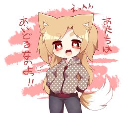 Rule 34 | 1girl, animal ears, bad id, bad pixiv id, blonde hair, chibi, fox ears, fox tail, hands on own hips, heart, heart-shaped pupils, highres, hood, hoodie, looking at viewer, open mouth, original, red eyes, solo, symbol-shaped pupils, tail, thick eyebrows, torauji tensaburou, translated