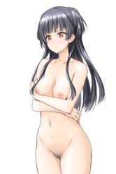 Rule 34 | 1girl, black hair, blush, breasts, brown eyes, closed mouth, completely nude, conte ryuu, cowboy shot, female pubic hair, idolmaster, idolmaster shiny colors, long hair, mayuzumi fuyuko, medium breasts, navel, nipples, nude, pubic hair, simple background, sketch, two side up, white background