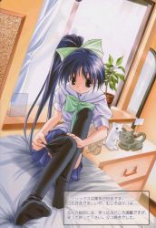 Rule 34 | 00s, 1girl, adjusting clothes, adjusting legwear, bed, black thighhighs, blue eyes, blue hair, blue skirt, cat, dressing, dutch angle, feet, grey eyes, hair ribbon, itou noemi, long hair, matching hair/eyes, outstretched leg, pleated skirt, ponytail, ribbon, school uniform, serafuku, sitting, skirt, socks, solo, text focus, thighhighs, thighhighs pull, translation request, with you, zettai ryouiki
