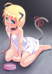 Rule 34 | 1girl, ahoge, animal ears, barefoot, bdsm, blonde hair, blue eyes, blush, bondage, bound, bow, bowl, cat ears, cat tail, clenched hands, collar, dress, fake animal ears, feet, female focus, kneeling, leash, looking at viewer, off shoulder, pet, pet bowl, pet play, ribbon, sekine irie, short hair, simple background, slave, solo, strap slip, tail, tail ornament, tail ribbon, viewer holding leash, white dress