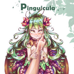 Rule 34 | 1girl, 1other, :t, absurdres, blush, breasts, character name, closed mouth, commentary, english commentary, feet out of frame, flower, green hair, hair flower, hair ornament, hand on another&#039;s cheek, hand on another&#039;s face, highres, holding hands, leaf, long hair, looking at viewer, monster girl, nanaya (shohei77), pinguicula, plant girl, plant hair, pointy ears, pov, ragnarok online, red flower, small breasts, topless, white background, yellow eyes