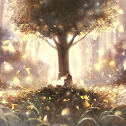 Rule 34 | 1boy, absurdres, album cover, backlighting, blurry, cape, commentary, cover, fantasy, forest, grass, headpat, highres, leaf, light particles, male focus, nature, original, scenery, short hair, sishenfan, spirit, texture, tree, wind, wolf