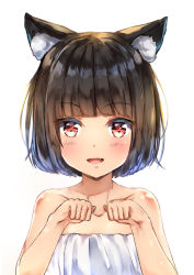 Rule 34 | 1girl, :d, animal ear fluff, animal ears, azur lane, bare arms, bare shoulders, blunt bangs, blush, brown hair, cat ears, chahei, collarbone, commentary request, dress, fang, hands up, highres, looking at viewer, open mouth, short hair, simple background, smile, solo, strapless, strapless dress, upper body, white background, white dress, yamashiro (azur lane)