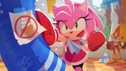 Rule 34 | 1girl, amy rose, bottle, boxing gloves, checkered floor, clipboard, commentary request, dress, emerl (sonic), flying sweatdrops, furry, furry female, gloves, green eyes, holding, holding clipboard, pink fur, punching bag, rain, red dress, robot, smile, sonic (series), sonic battle, sweat, uno yuuji, water bottle, window