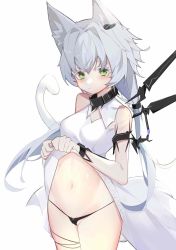Rule 34 | animal ear fluff, animal ears, arknights, bare shoulders, black collar, black panties, blush, breasts, cat ears, cat girl, cat tail, clothes lift, cmaeltoe, collar, cowboy shot, dress, dress lift, earpiece, green eyes, grey hair, highres, lifted by self, looking at viewer, micro panties, navel, panties, partially visible vulva, rosmontis (arknights), rosmontis (become anew) (arknights), simple background, small breasts, tail, twilight (cgkk4357), underwear, white background, white dress