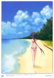Rule 34 | 1girl, 2011, absurdres, arms behind back, barefoot, beach, bikini, black hair, blue sky, cloud, dated, day, errant, from behind, highres, k-on!, long hair, nakano azusa, ocean, outdoors, sand, sky, solo, swimsuit, tree, twintails, walking