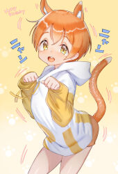 1girl absurdres animal_ear_fluff animal_ears bare_legs cat_ears cat_girl cat_tail english_text happy_birthday highres hood hoodie hoshizora_rin kajichan love_live! love_live!_school_idol_project motion_lines orange_hair paw_pose paw_print paw_print_background short_hair shorts solo tail yellow_eyes