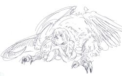 Rule 34 | 1girl, chimera, claws, crossed arms, falin touden, falin touden (chimera), feathered wings, lying, monochrome, on stomach, pie (aipiepo), sketch, tail, white background, wings