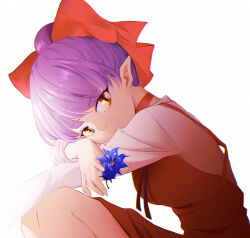 Rule 34 | 1girl, blue flower, bow, breasts, chihiro (shadow199912), choker, closed mouth, dress, flower, gegege no kitarou, hair bow, head rest, highres, holding, holding flower, knees up, leaning forward, long sleeves, looking at viewer, looking to the side, medium breasts, nekomusume, nekomusume (gegege no kitarou 6), outstretched arm, pinafore dress, purple hair, red bow, red choker, red dress, shirt, simple background, sitting, sleeveless, sleeveless dress, smile, solo, updo, white background, white shirt, yellow eyes