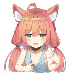 Rule 34 | 1girl, ahoge, aliter, animal ear fluff, animal ears, bare arms, bare shoulders, blue eyes, blush, cat ears, commentary request, cropped torso, fang, grey tank top, hair between eyes, hinata channel, long hair, low twintails, nekomiya hinata, open mouth, pink hair, sidelocks, simple background, solo, sweat, tank top, twintails, upper body, virtual youtuber, white background