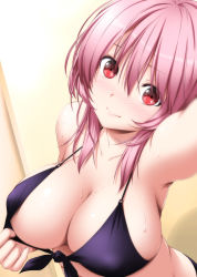 Rule 34 | 1girl, arm up, armpits, bikini, bikini pull, black bikini, blush, breasts, cleavage, clothes pull, collarbone, commentary request, flying sweatdrops, front-tie bikini top, front-tie top, hair between eyes, head tilt, highres, large breasts, looking at viewer, no headwear, nori tamago, nose blush, pink hair, red eyes, saigyouji yuyuko, shiny skin, short hair, smile, solo, sweat, swimsuit, touhou, upper body