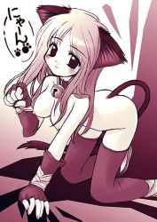 Rule 34 | animal ears, blush, breasts, cat ears, cat tail, collar, long hair, no panties, nude, tail, thighhighs