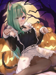 Rule 34 | 1girl, absurdres, animal ears, asymmetrical bangs, blush, breasts, cat ears, cat tail, cleavage, closed mouth, commentary, detached collar, dress, frilled dress, frills, full moon, green hair, hair ornament, hair over one eye, halloween, highres, long hair, long sleeves, looking at viewer, medium breasts, mole, mole on breast, moon, night, pantyhose, paw pose, pumpkin, purple eyes, raised eyebrows, ringozeri, sitting, sky, smile, solo, star (sky), starry sky, tail, virtual youtuber, vspo!, wariza, yakumo beni