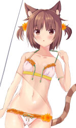 Rule 34 | 1girl, animal ears, azuki (nekopara), bare arms, bare shoulders, bikini, blush, breasts, brown eyes, brown hair, cat ears, cat girl, cat tail, collarbone, commentary, cowboy shot, front-tie bikini top, front-tie top, gluteal fold, hair flaps, looking at viewer, navel, nekopara, open mouth, parted bangs, short hair, simple background, sketch, small breasts, solo, stomach, strap pull, striped tail, swimsuit, tail, two side up, untied bikini top, white background, white bikini, yuzuki yuki (another yuki)