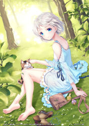 Rule 34 | 1girl, arm support, barefoot, blue dress, blue eyes, blurry, breasts, cat, colored eyelashes, depth of field, dress, dutch angle, feet, unworn footwear, forest, from behind, full body, grass, leaf, lens flare, light smile, looking at viewer, nature, original, outdoors, paint musume, sandals, unworn sandals, shoes, unworn shoes, silver hair, sitting, sleeveless, sleeveless dress, small breasts, smile, soles, solo, sundress, toes