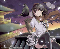 Rule 34 | 1girl, architecture, bird, bird on hand, black hair, black thighhighs, crow, east asian architecture, expressionless, face, female focus, gauntlets, gloves, hat, looking at viewer, pagoda, red eyes, rooftop, scarf, serious, shameimaru aya, short hair, sitting, skirt, sky, solo, thighhighs, tokin hat, touhou, uousa-ou, zettai ryouiki