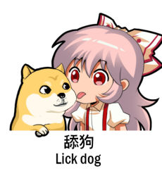 Rule 34 | 1girl, bow, chibi, chinese commentary, collared shirt, commentary, commentary request, dog, doge, english commentary, fujiwara no mokou, hair between eyes, hair bow, jokanhiyou, licking, looking at another, lowres, meme, red eyes, shiba inu, shirt, short sleeves, silver hair, solo, suspenders, tongue, tongue out, translation request, white background, white shirt