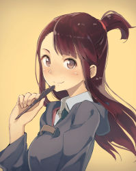 Rule 34 | 10s, 1girl, blush, breasts, brown eyes, brown hair, closed mouth, collared shirt, dress, highres, hood, kagari atsuko, little witch academia, long hair, long sleeves, looking at viewer, minamito, necktie, pen, shirt, sidelocks, smile, solo, upper body, wide sleeves