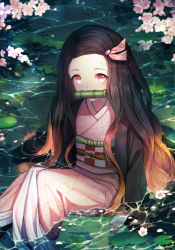 Rule 34 | 1girl, absurdres, bamboo, bit gag, black hair, blush, cherry blossoms, commentary request, fingernails, gag, highres, inosia, japanese clothes, kamado nezuko, kimetsu no yaiba, kimono, long hair, looking at viewer, mouth hold, multicolored hair, pink eyes, revision, sitting, solo, very long hair, water