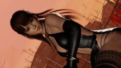 Rule 34 | 1girl, 3d, absurdres, artist request, black dress, dead or alive, dead or alive 6, dress, highres, lei fang, long hair, solo
