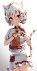 Rule 34 | 1girl, 906834233, absurdres, animal ears, bell, cat ears, cat girl, cat tail, coin, commentary request, cowboy shot, crop top, gold, goutokuji mike, highres, jingle bell, koban (gold), multicolored clothes, multicolored hair, multicolored shirt, multicolored skirt, navel, neck bell, open mouth, orange eyes, patchwork clothes, paw pose, puffy short sleeves, puffy sleeves, red eyes, shirt, short hair, short sleeves, skirt, solo, streaked hair, tail, touhou, white hair, white shirt, white skirt