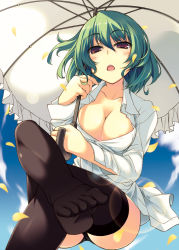 Rule 34 | 1girl, amanooni touri, bad id, bad pixiv id, black panties, black thighhighs, bottomless, breasts, cleavage, crossed legs, dress shirt, feet, female focus, from below, green hair, kazami yuuka, large breasts, lens flare, no pants, open mouth, panties, parasol, petals, red eyes, shirt, short hair, sitting, solo, thighhighs, toe-point, toes, touhou, umbrella, underwear