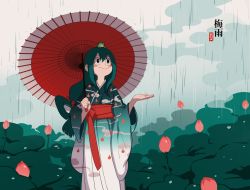 Rule 34 | 10s, 1girl, asui tsuyu, blurry, blush stickers, boku no hero academia, closed mouth, cloud, cloudy sky, depth of field, female focus, flower, frog, frog girl, green hair, hair rings, happy new year, imjayu, japanese clothes, japanese text, kimono, long hair, long sleeves, looking up, new year, on head, outdoors, rain, sky, smile, solo, umbrella, very long hair, wide sleeves