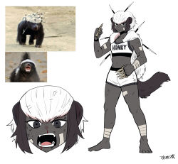 Rule 34 | 1girl, absurdres, animal ears, bandage on face, bandage on leg, bandaged arm, bandages, barefoot, black hair, blood, capelet, collarbone, colored skin, creature and personification, crop top, cropped head, english text, fangs, full body, fur capelet, gegegekman, grey eyes, grey skin, highres, honey badger, injury, multicolored hair, multiple views, navel, nosebleed, open mouth, original, photo inset, quill, reference inset, shirt, shorts, sidelocks, solo, spiked knuckles, sports bra, stomach, tail, two-tone hair, white hair, white shirt, white shorts