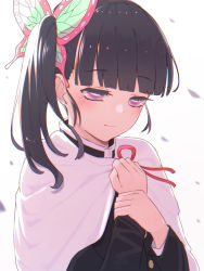 Rule 34 | 1girl, blunt bangs, blush, bug, butterfly, butterfly hair ornament, butterfly on hand, cape, cloak, closed mouth, commentary request, hair ornament, haori, holding own arm, insect, jacket, japanese clothes, kimetsu no yaiba, long hair, looking down, military jacket, purple eyes, side ponytail, tostos, tsuyuri kanao, white cape, white cloak