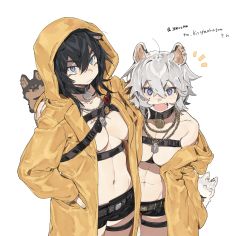 Rule 34 | 2girls, absurdres, animal ears, belt, black belt, black collar, black hair, black shorts, blue eyes, breasts, coat, collar, cowboy shot, fang, grey hair, hair between eyes, hand in pocket, highres, hood, hood up, ierotak, jewelry, looking at viewer, medium breasts, medium hair, multiple girls, navel, necklace, open mouth, original, purple eyes, shorts, simple background, smile, white background, yellow coat