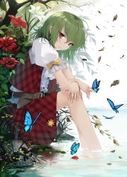 Rule 34 | 1girl, bare legs, belt, center frills, cloudy.r, expressionless, flower, frills, grey hair, hands on own knees, highres, kazami yuuka, looking at viewer, medium hair, medium skirt, outdoors, parted lips, plaid, plaid skirt, plaid vest, red eyes, red flower, red skirt, red vest, shirt, skirt, slit pupils, solo, touhou, vest, wading, water, white flower, white shirt