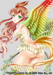 Rule 34 | 1girl, ass, back, bad id, bad pixiv id, bird legs, bird wings, breasts, butt crack, copyright name, fantasy, feather hair, feathered wings, feathers, grey background, hair between eyes, hakuda tofu, harpy, head wings, highres, long hair, looking back, monster girl, no panties, official art, shinkai no valkyrie, simple background, solo, very long hair, winged arms, wings