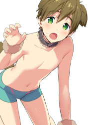 Rule 34 | 1boy, :o, all fours, animal ears, aqua jammers, aqua male swimwear, black collar, blush, brown hair, brown wristband, claw pose, collar, dog boy, dog ears, dog tail, dot nose, extra ears, feet out of frame, free!, green eyes, jammers, looking at viewer, male focus, male swimwear, mo (nmnme), navel, no nipples, open mouth, simple background, solo, tachibana makoto, tail, topless, topless male, white background, wristband