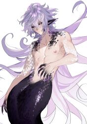 Rule 34 | 1boy, abs, absurdres, bishounen, black sclera, colored sclera, cowboy shot, fate/grand order, fate (series), fins, gradient skin, hair between eyes, highres, long hair, looking at viewer, magiheartmari, male focus, merlin (fate), merman, monster boy, monsterification, nipples, nude, pectorals, protected link, purple eyes, solo, toned, toned male, very long hair, white background, white hair